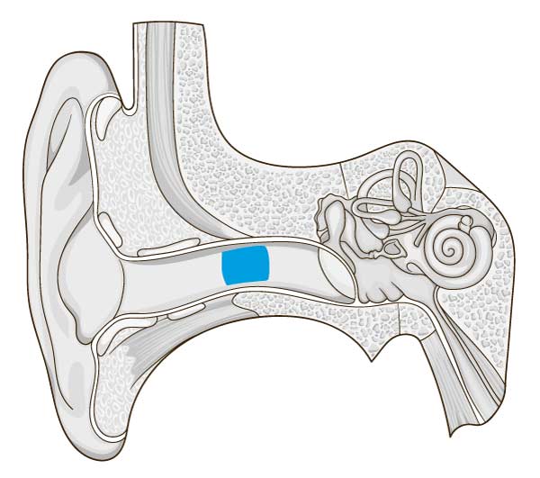 ear diagram ear wax